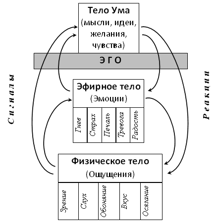 Внутреннее пространство